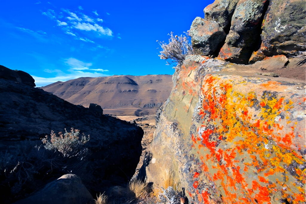 Balcones de El Calafate 4x4 Galeria 7