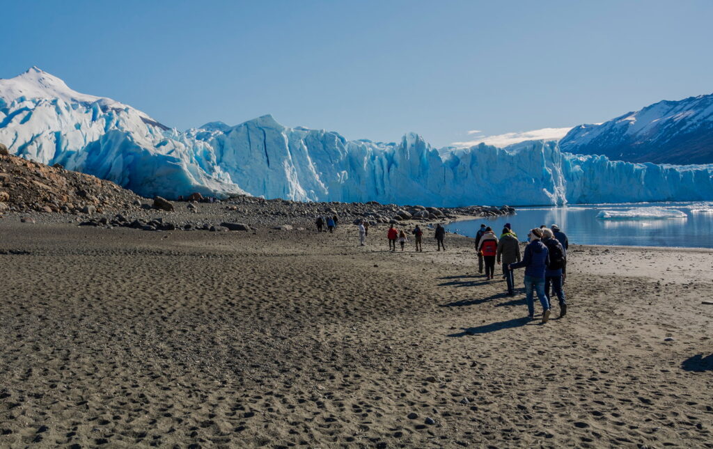 Portada Safari Azul 1