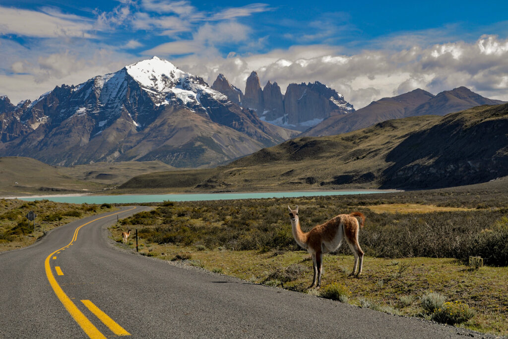 Torres del Paine galeria 4