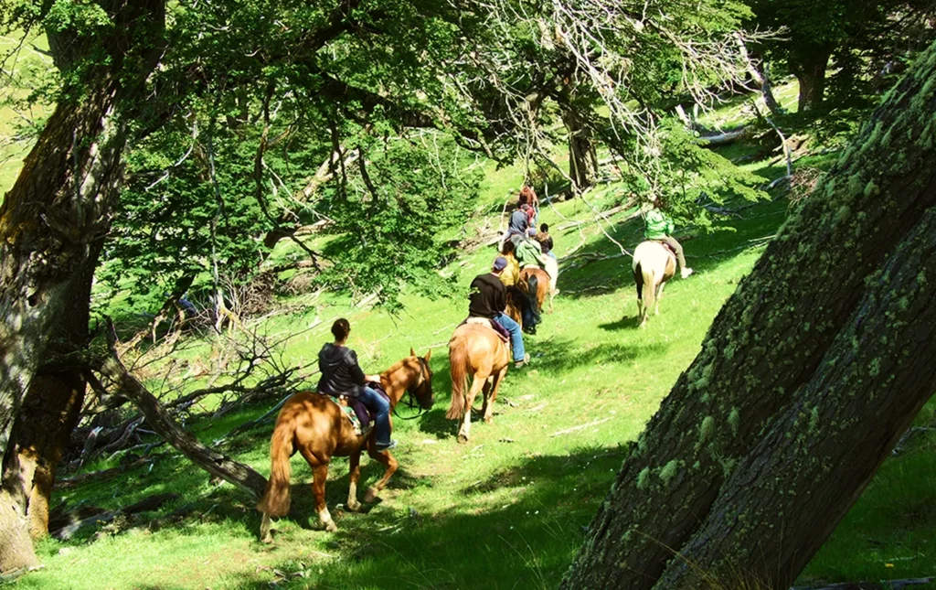 Portada Naturaleza y Estancias 1